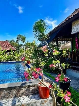 Island Garden Huts & Yoga Shala
