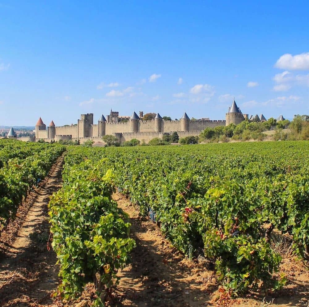 P'tit Dej-HOTEL Carcassonne-Audotel