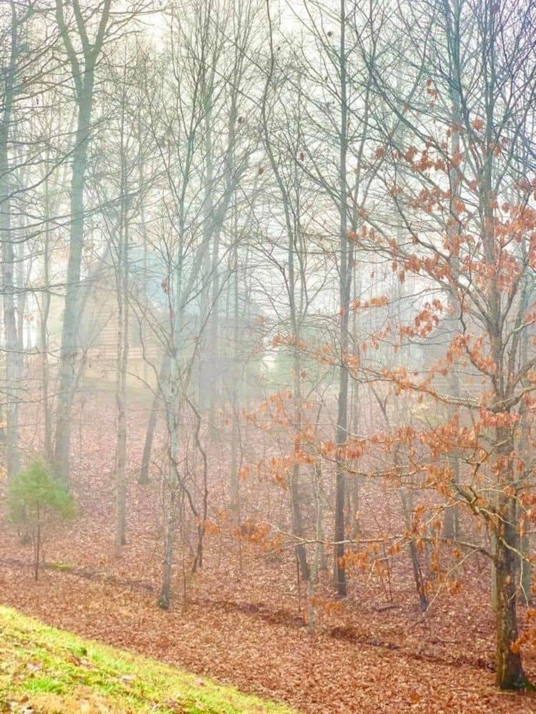 BLUEGREEN VACATIONS SHENANDOAH BLUEGREEN VACATIONS SHENANDOAH