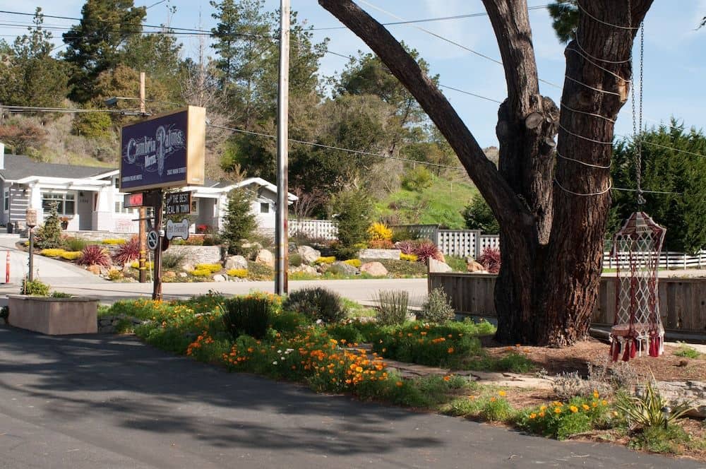 CAMBRIA PALMS MOTEL CAMBRIA PALMS MOTEL