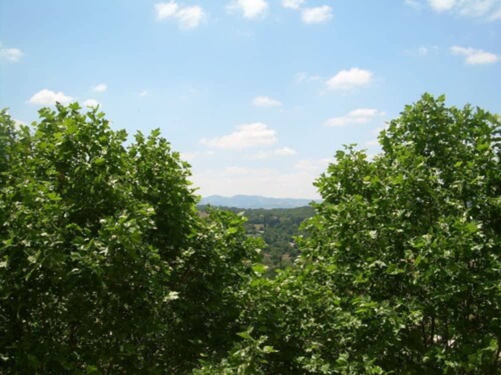 Domaine Lyon Saint Joseph Domaine Lyon Saint Joseph