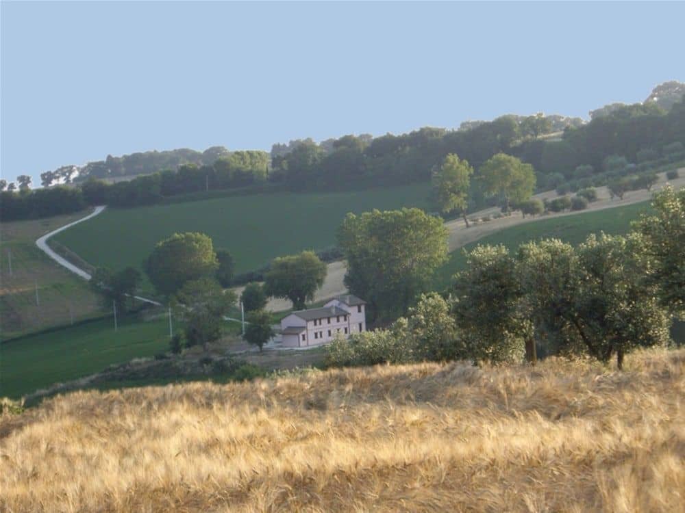 La Quercia del Saggio La Quercia del Saggio