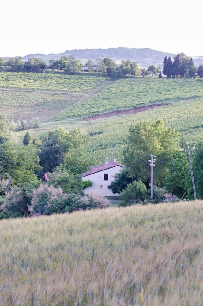 Agriturismo Ca' de' Gatti