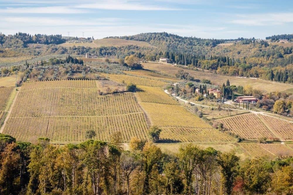 Podere dell'Anselmo Podere dell'Anselmo