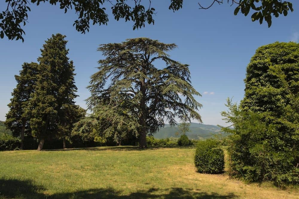 Agriturismo Fattoria Lavacchio Agriturismo Fattoria Lavacchio