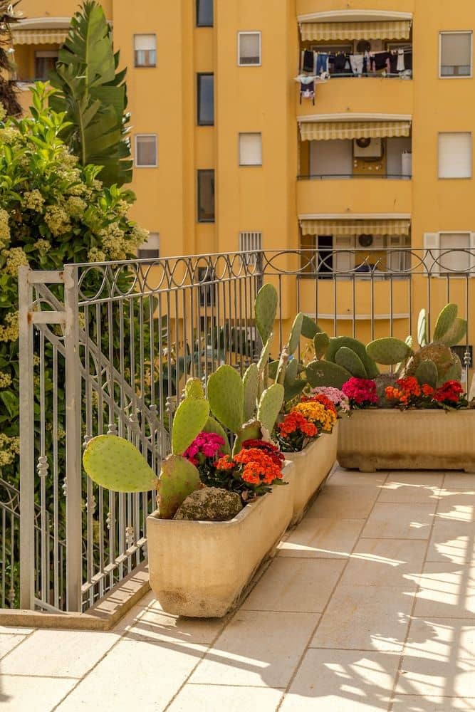 Hotel Domomea Hotel Domomea