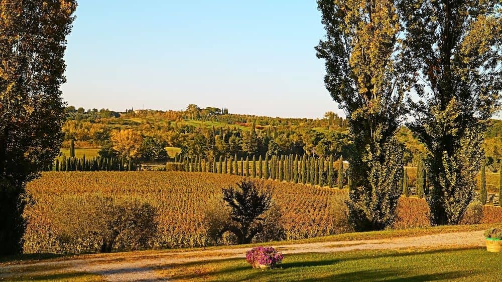 Agriturismo La Sovana Agriturismo La Sovana