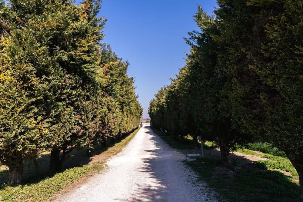 Il Giardino Di Rebecca