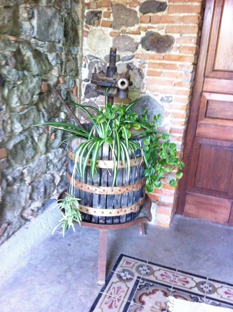 Agriturismo Il Giglio Agriturismo Il Giglio