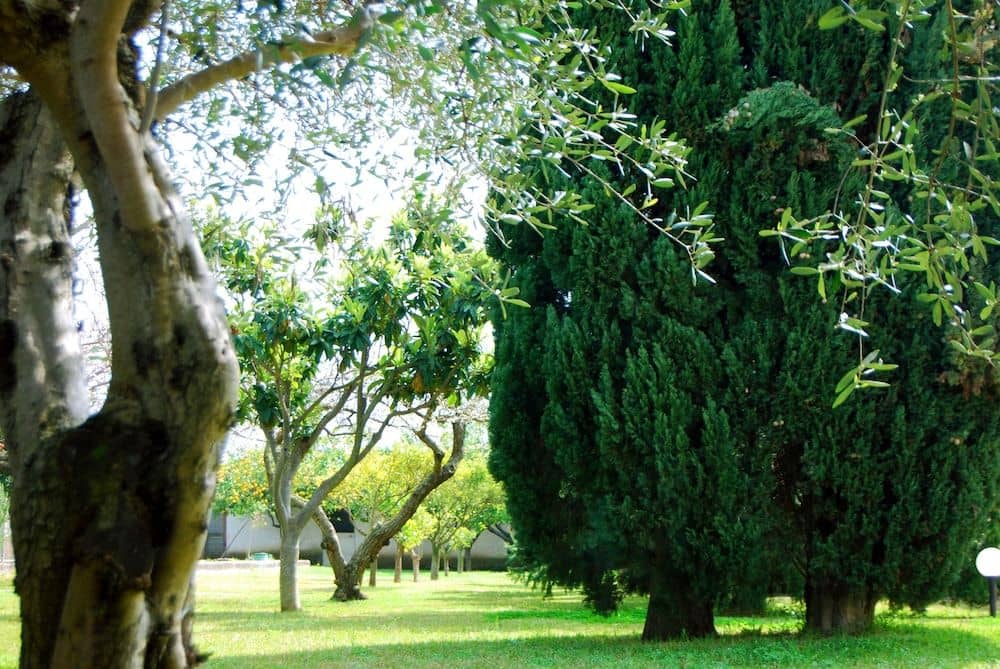 B&B La Giamilfra