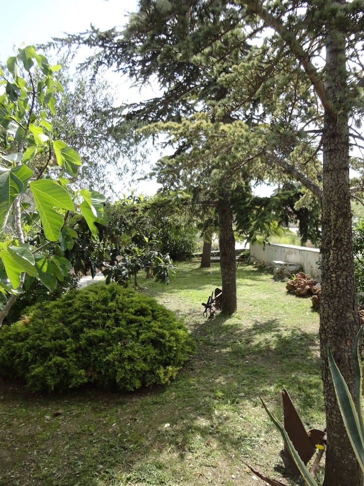 Residence Palomba