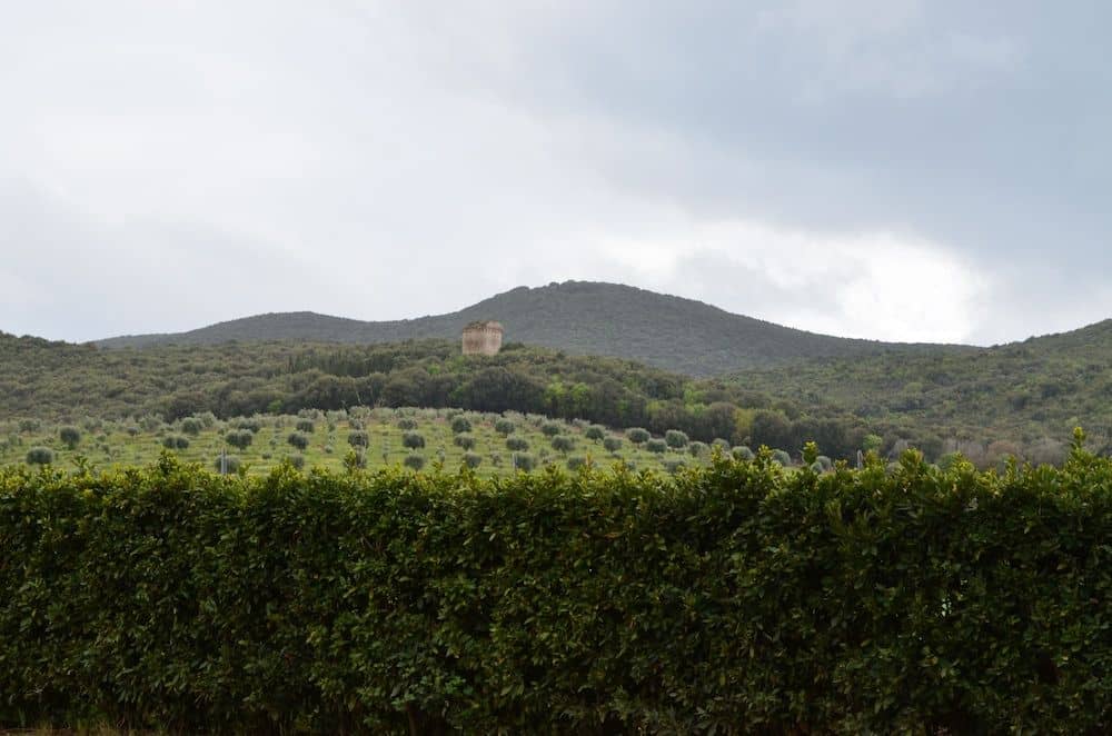 Tenuta Uccellina