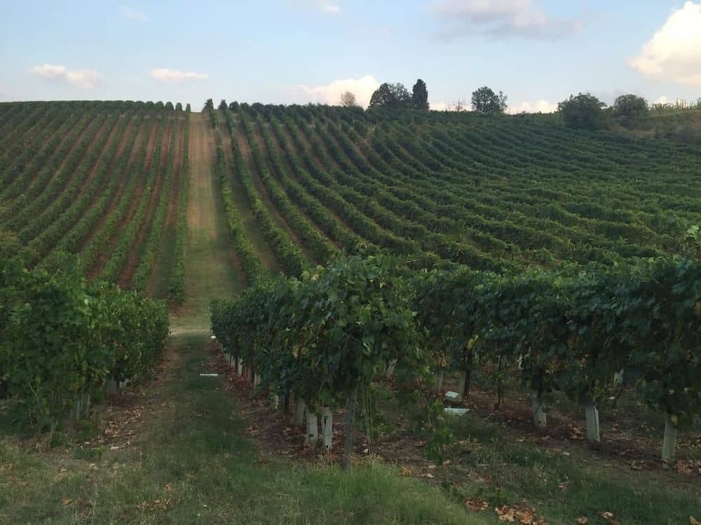 Agriturismo Borgo delle Vigne Agriturismo Borgo delle Vigne