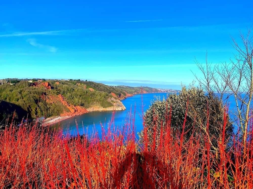 Babbacombe Palms Babbacombe Palms