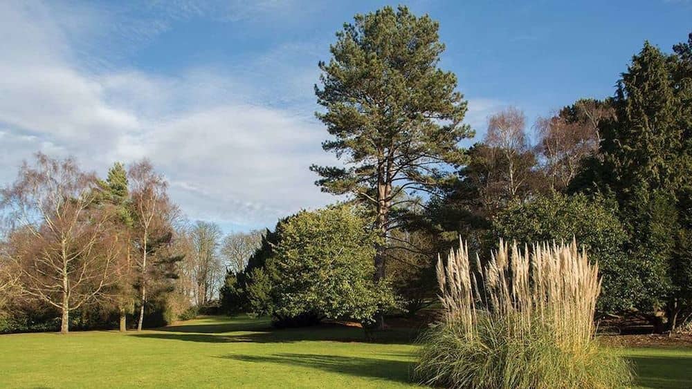 Brandshatch Place Hotel & Spa Brandshatch Place Hotel & Spa