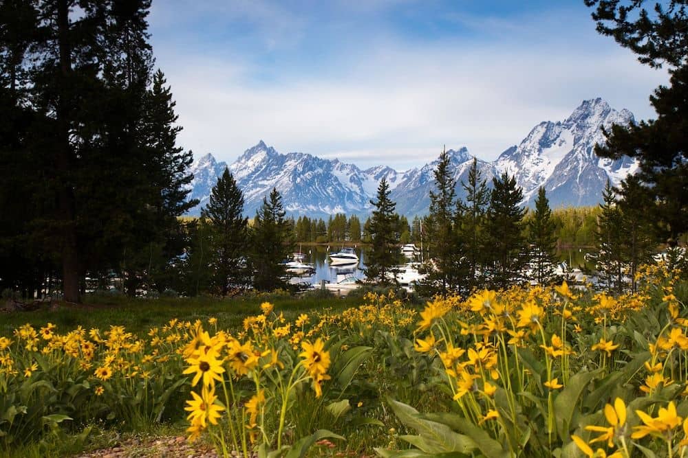 Colter Bay Village