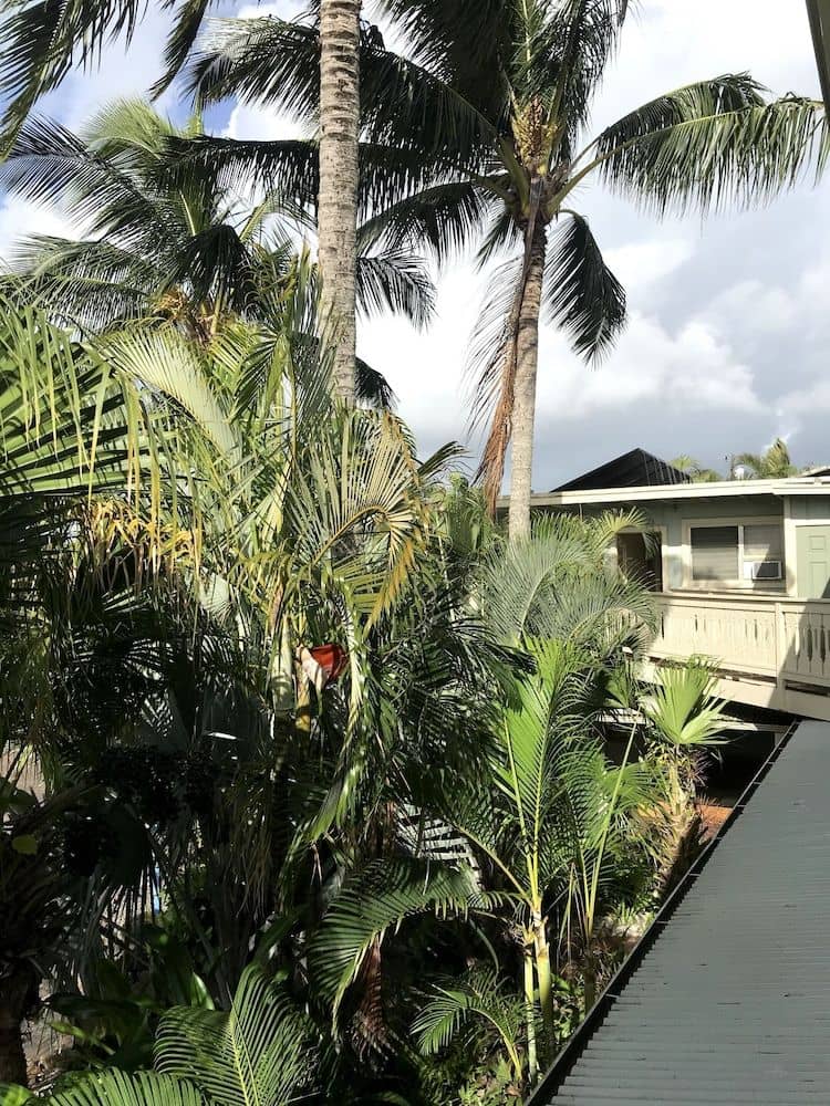 Kauai Palms Hotel Kauai Palms Hotel