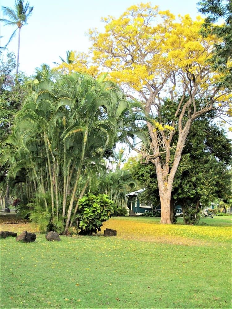 Aston Waimea Plantation Cottages Aston Waimea Plantation Cottages