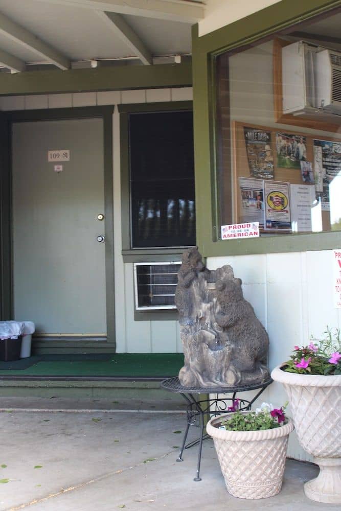 Trees Motel Trees Motel