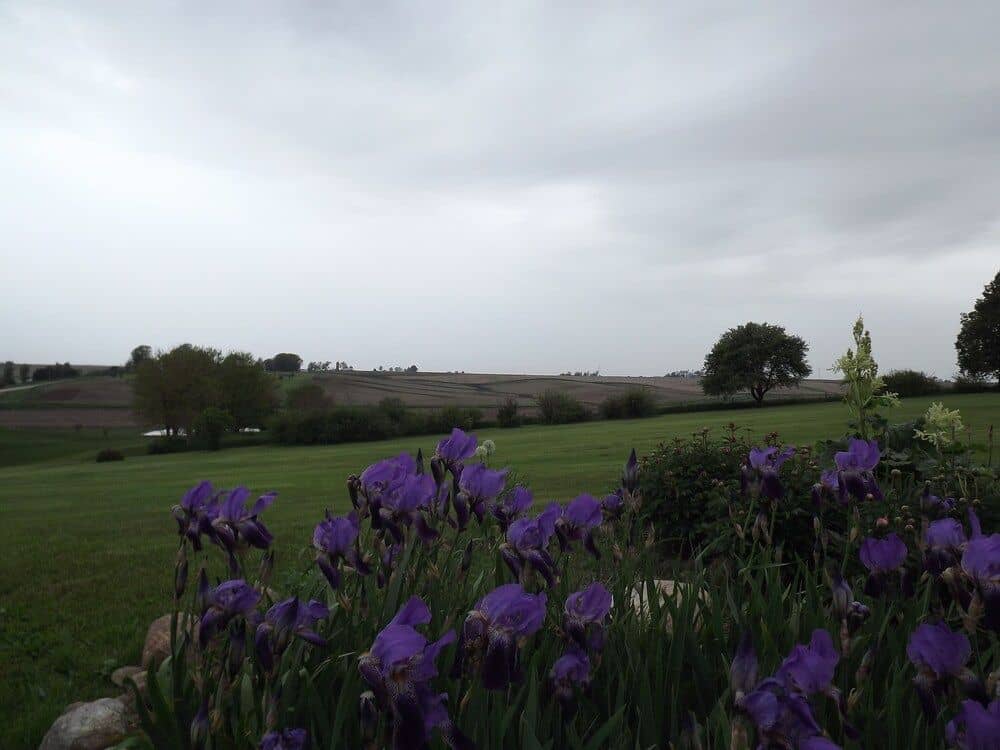Crest Country Inn
