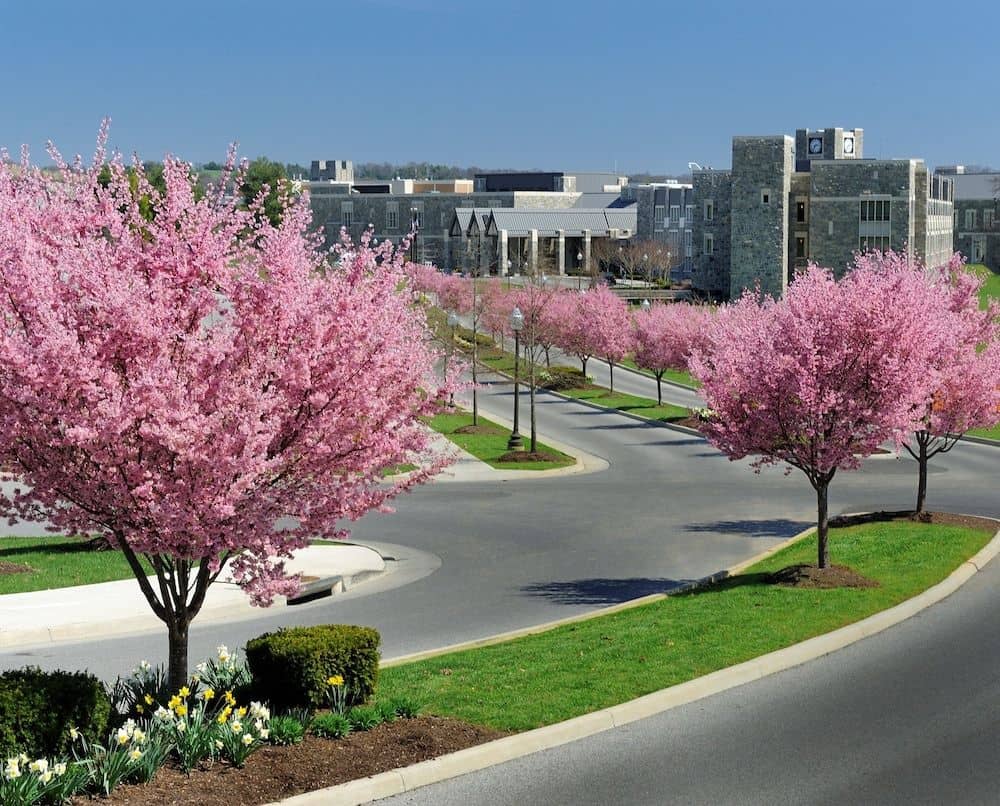 THE INN AT VIRGINIA TECH