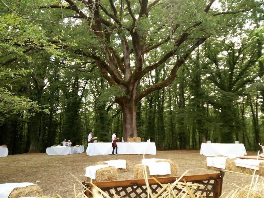 Agriturismo Natura E Salute Agriturismo Natura E Salute