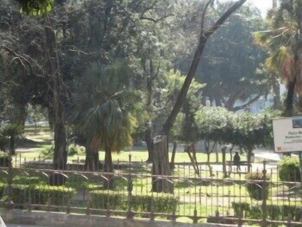 Jardin De France