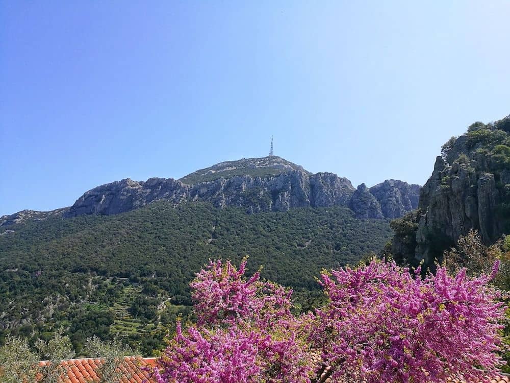 Hotel Sant'elene