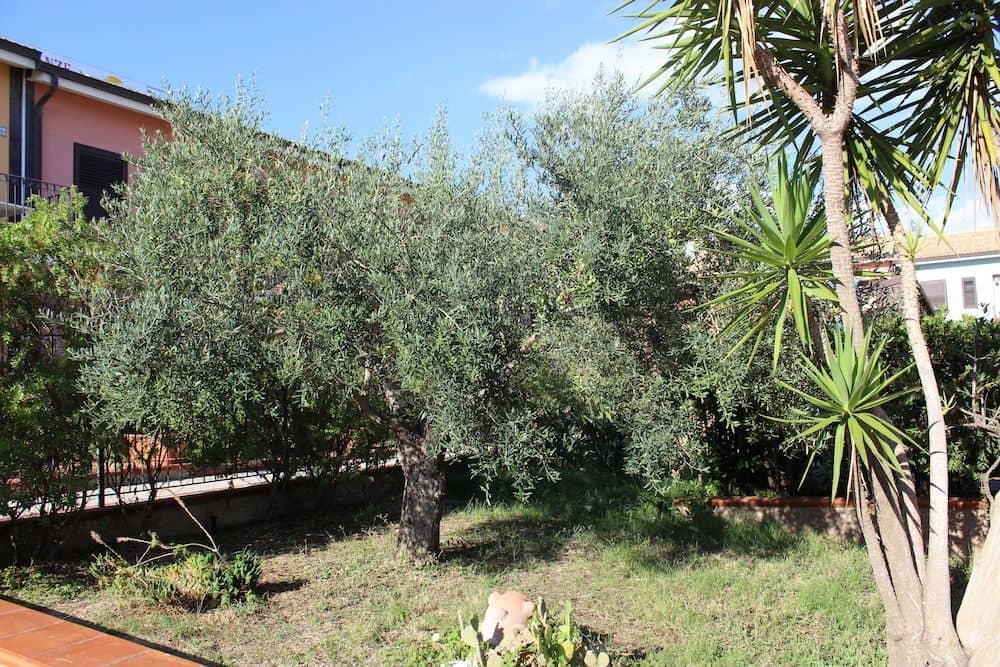 Case Vacanze Ancora
