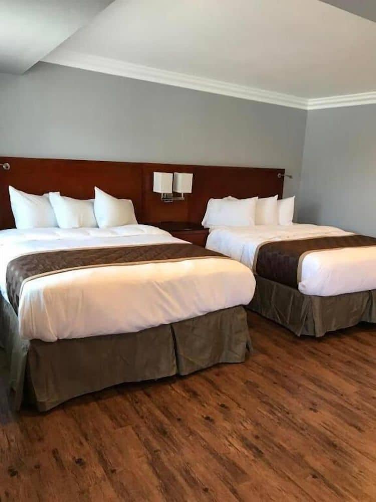 Rex Motel Rex Motel