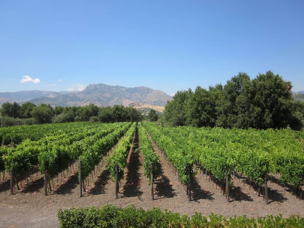 Tenuta Antica Cavalleria