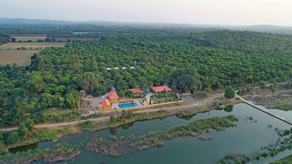 Lion Safari Camp