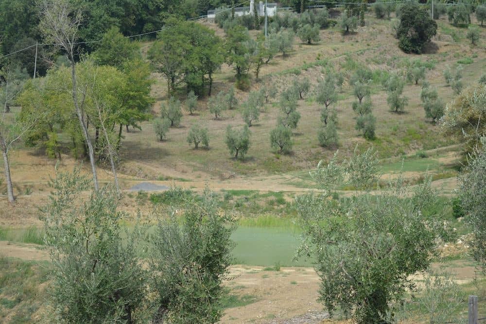 Podere Delle Fanciulle