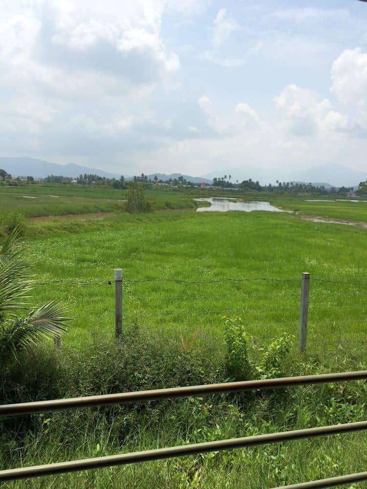Pondok Muara Chalet Pondok Muara Chalet