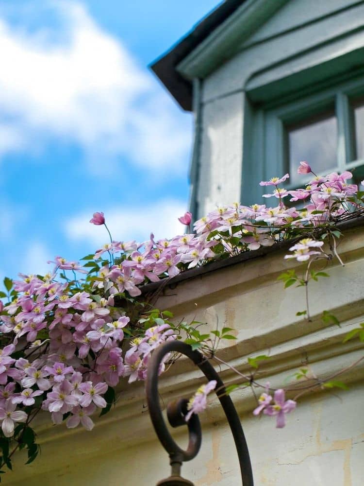 La Maison Jules La Maison Jules
