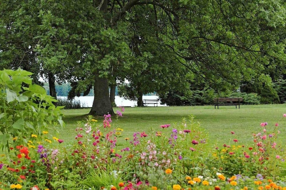 Seepark Kurhotel am Wandlitzsee Seepark Kurhotel am Wandlitzsee