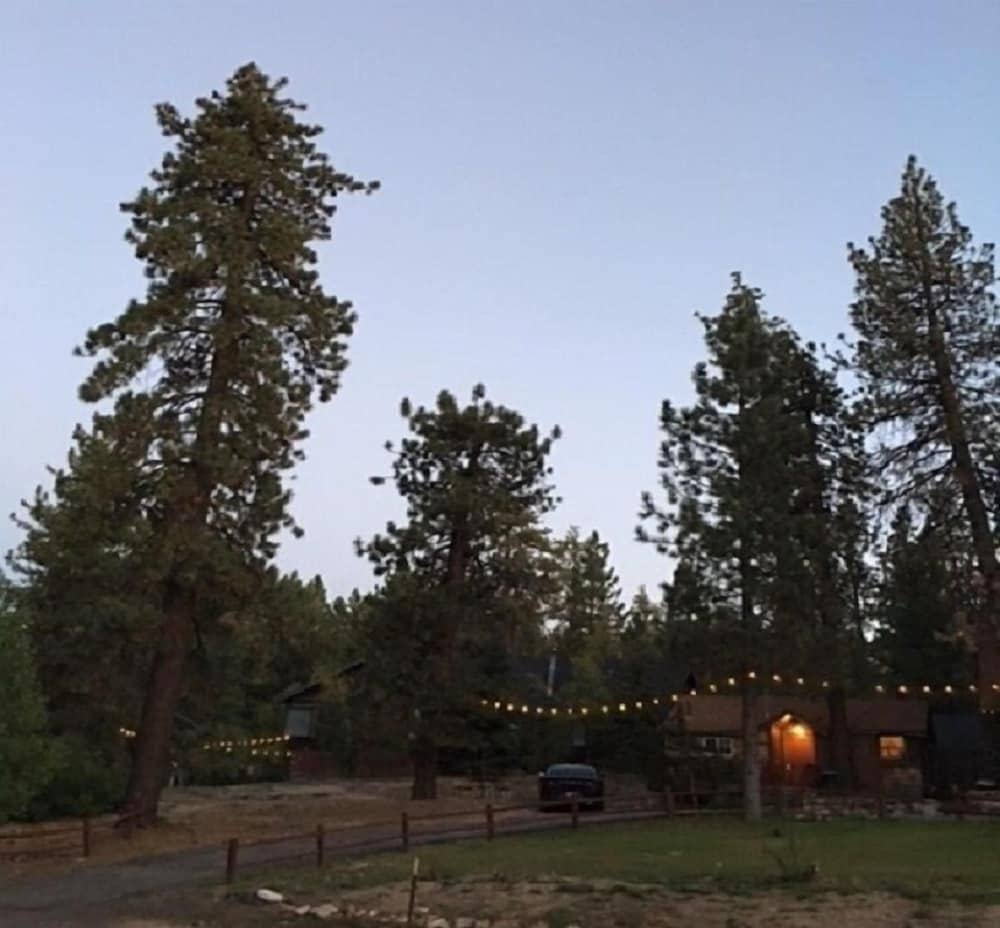 Golden Bear Cottages