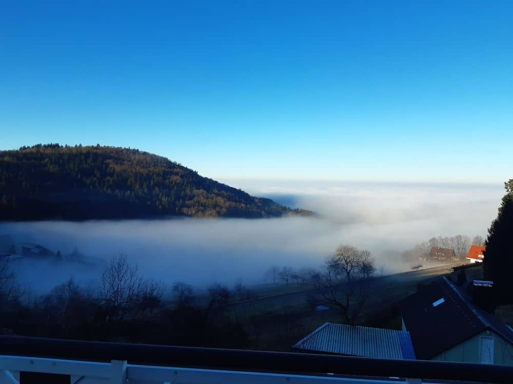 Berghof Gruner Baum