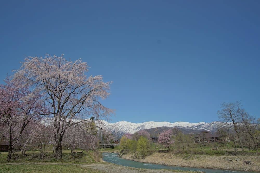 Share and Guest House Hakuba Share