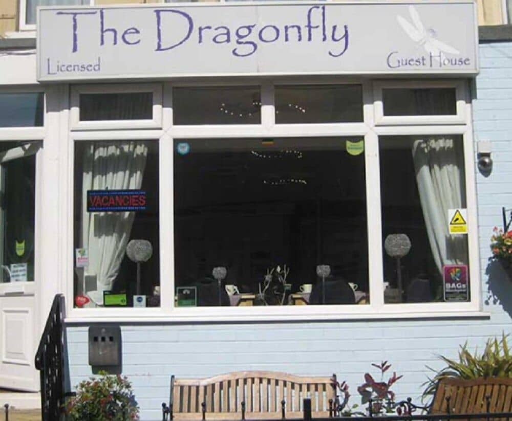 The Dragonfly