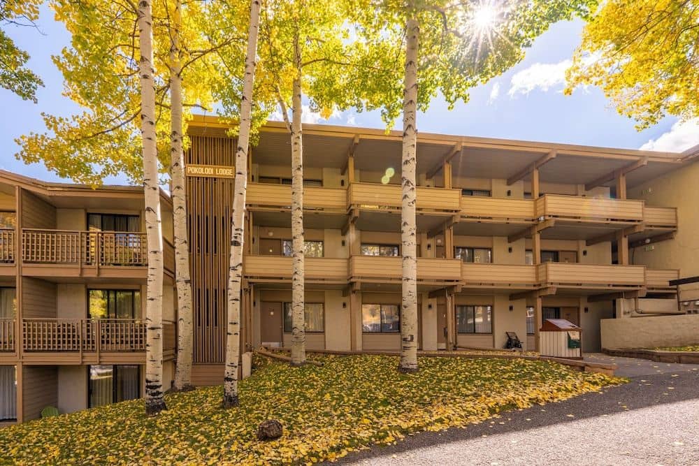 Pokolodi Lodge