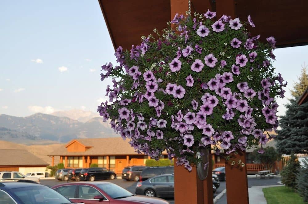 Yellowstone Village Inn & Suites