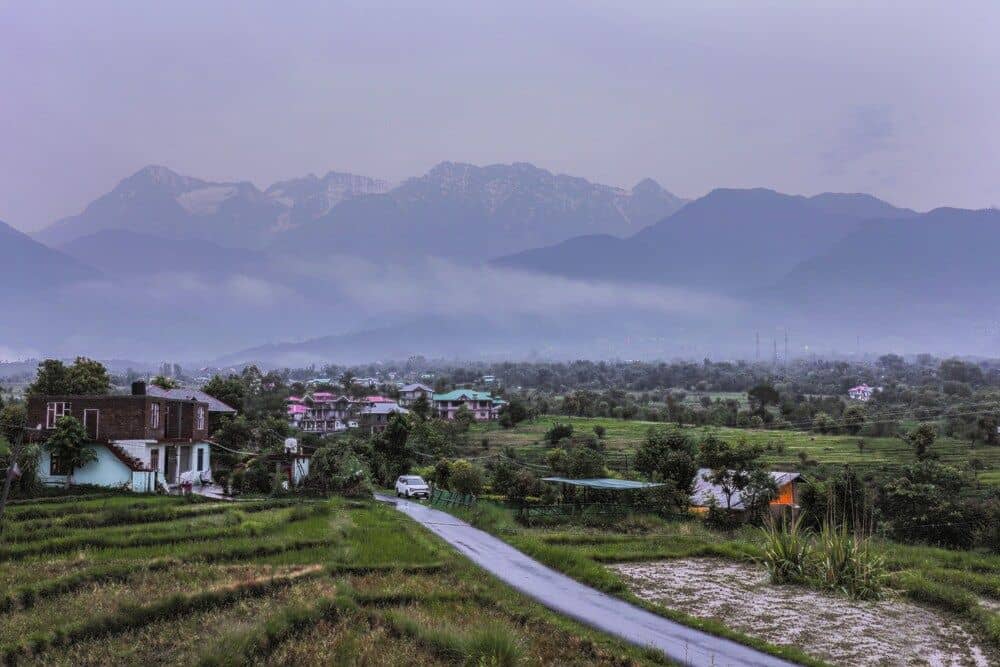 Seclude Palampur, Himachal Pradesh