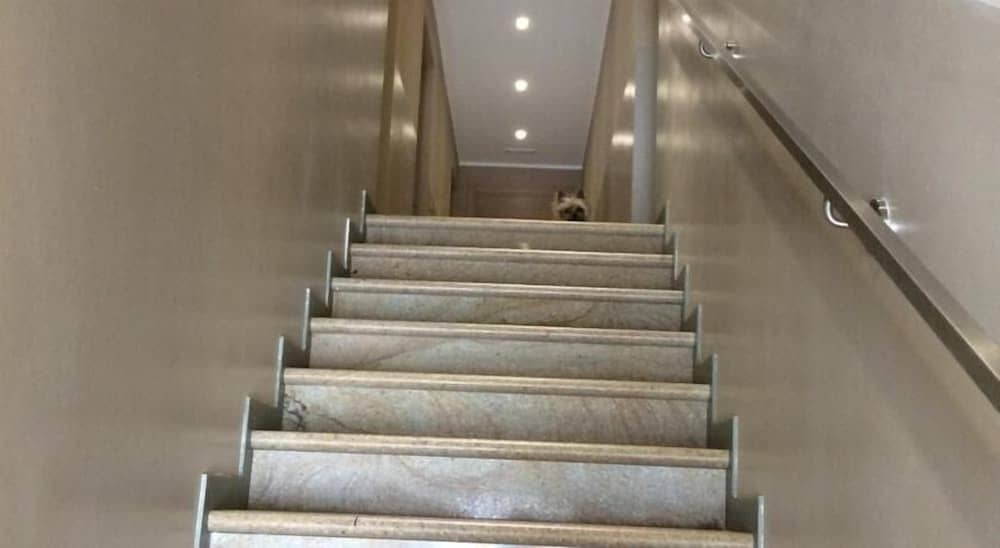 Nuova Locanda Munerato