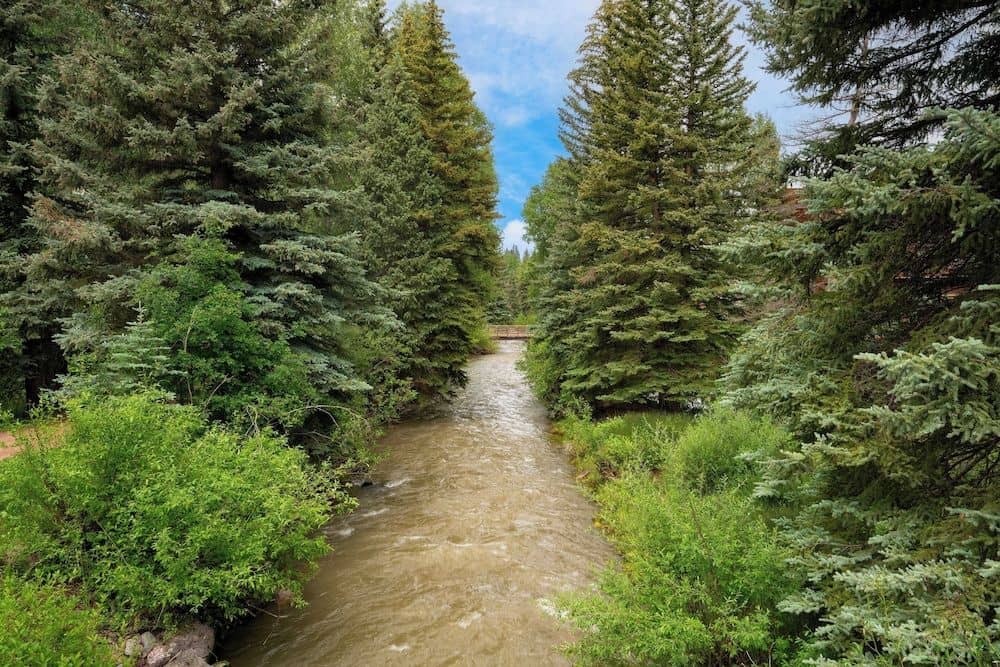 Manitou Riverhouse by Telluride Resort Lodging