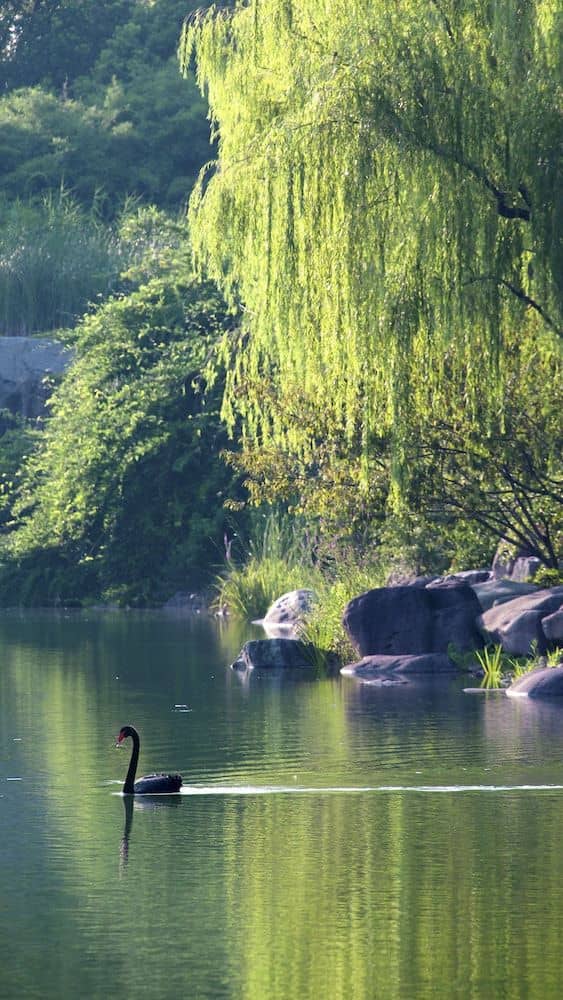 Suzhou Jinji Lake Grand Hotel