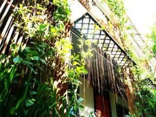 Mong Guest House Bed And Breakfast