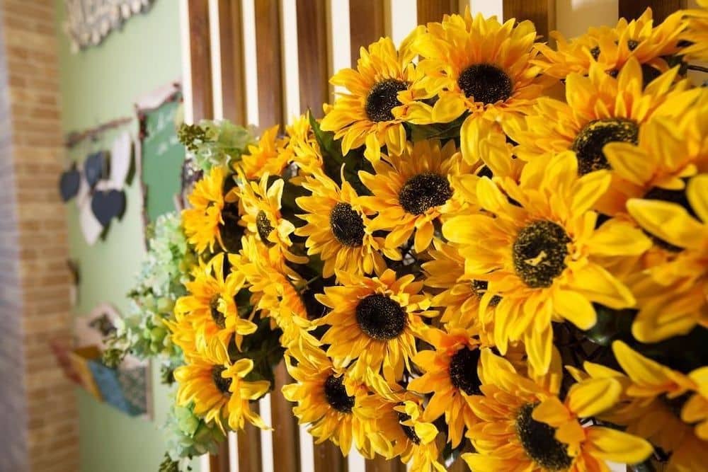 Sunflower B&B II