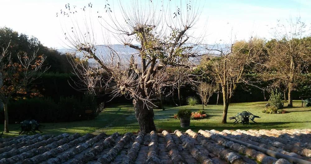 Colle Etrusco Salivolpi Colle Etrusco Salivolpi
