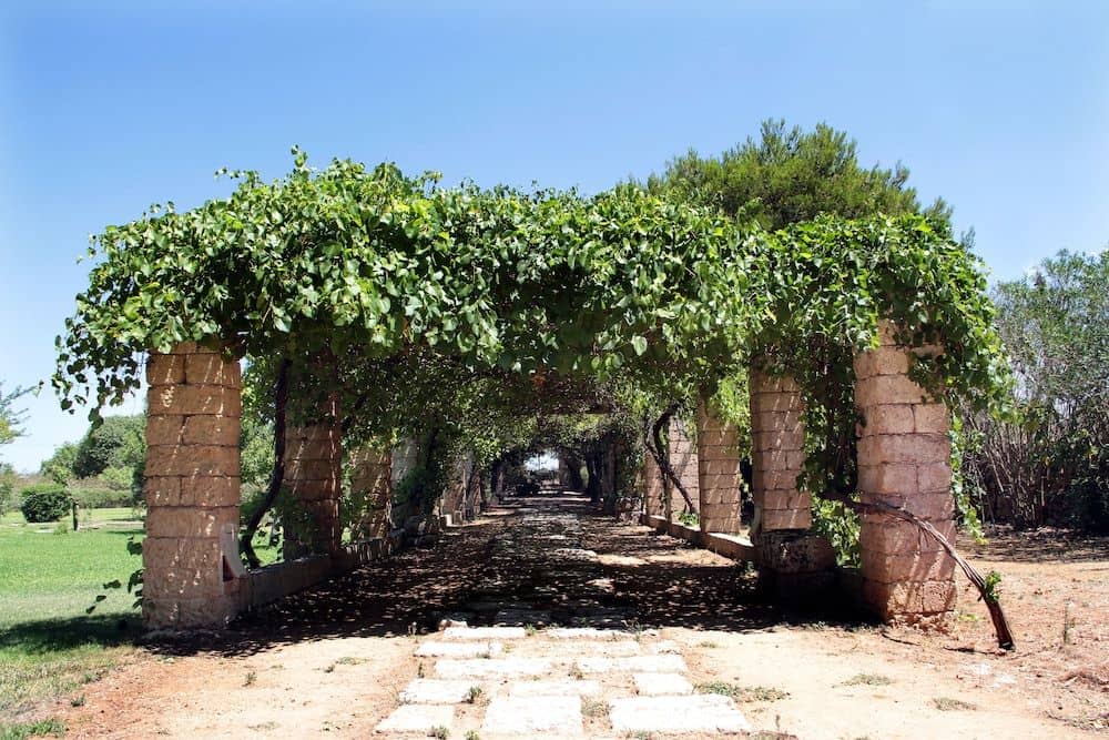 Masseria Cristo